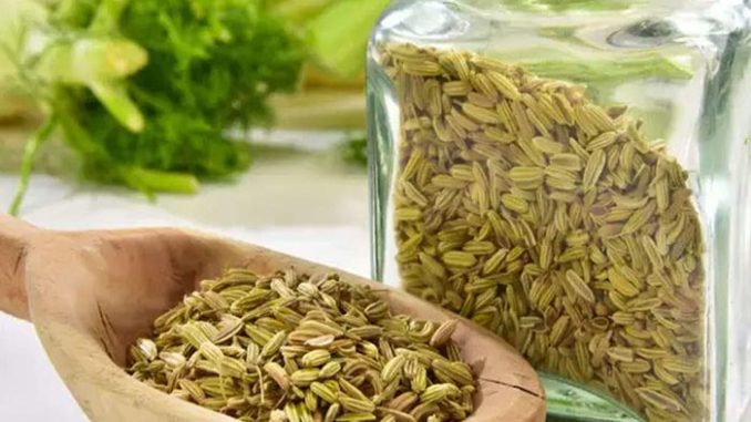 सौंफ खाने के फायदे