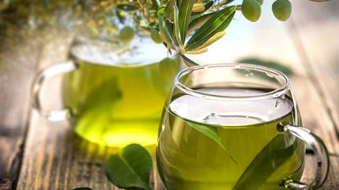 olive tea Health Benefits