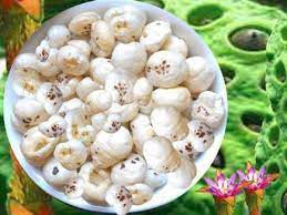 makhana-benifits-in-hindi