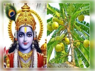 Amalaki-Ekadashi-2022