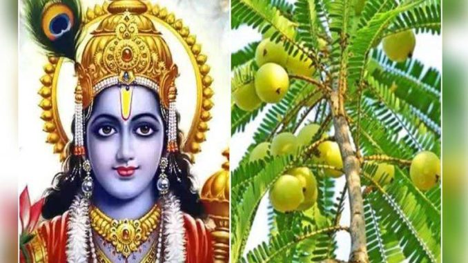Amalaki-Ekadashi-2022