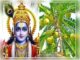 Amalaki-Ekadashi-2022