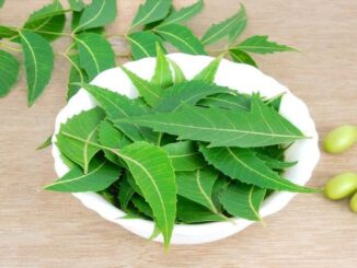 Benefits-of-Neem