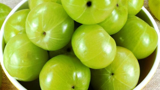 amla-ke-fayde